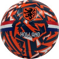 Voetbal holland groot (120479)