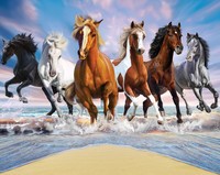 Behang paarden Walltastic: 245x305 cm (46634)