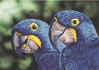 Blue Hyacinth Macaws Diamond Dotz: 52x37 cm (DD9.023)