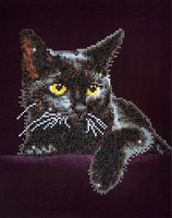 Midnight Cat With Frame Diamond Dotz: 28x36 cm (DDB5.001)