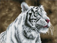 Tiger Blanc Diamond Dotz: 31x41 cm (DQ8.007)