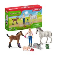 Dierenarts met merrie en veulen Schleich (42486)