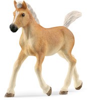 Haflinger veulen Schleich (13951)