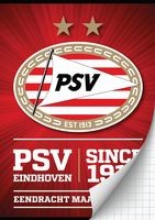 Schrift PSV rood since 1913 A4 geruit (305918)
