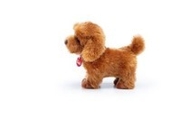 Trudi Toy Poodle Oliver standing: 15x20x20 cm (S-22333)